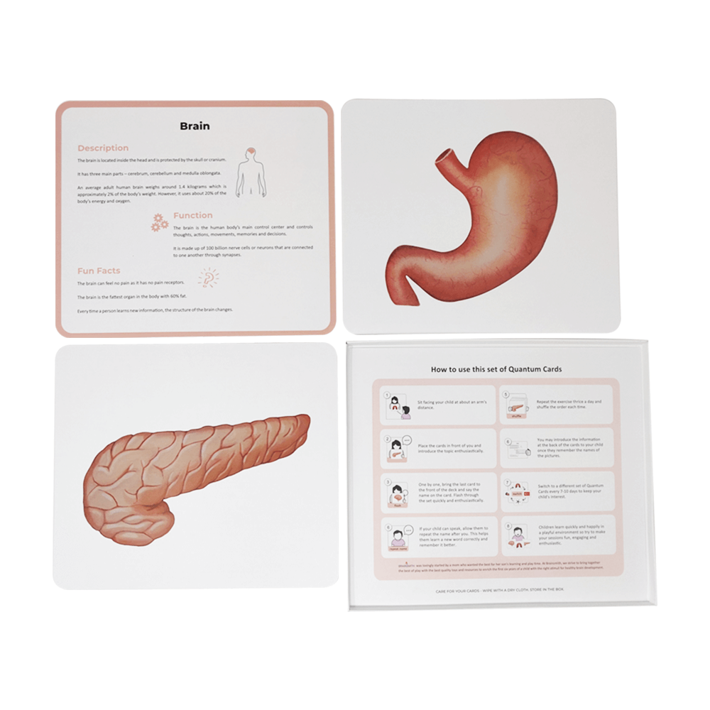 Quantum Cards Kit Set 3