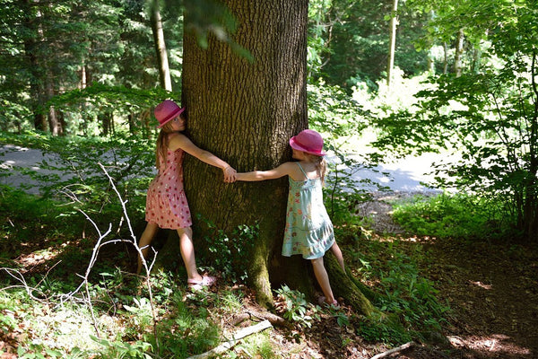 Teach your child to care for Nature