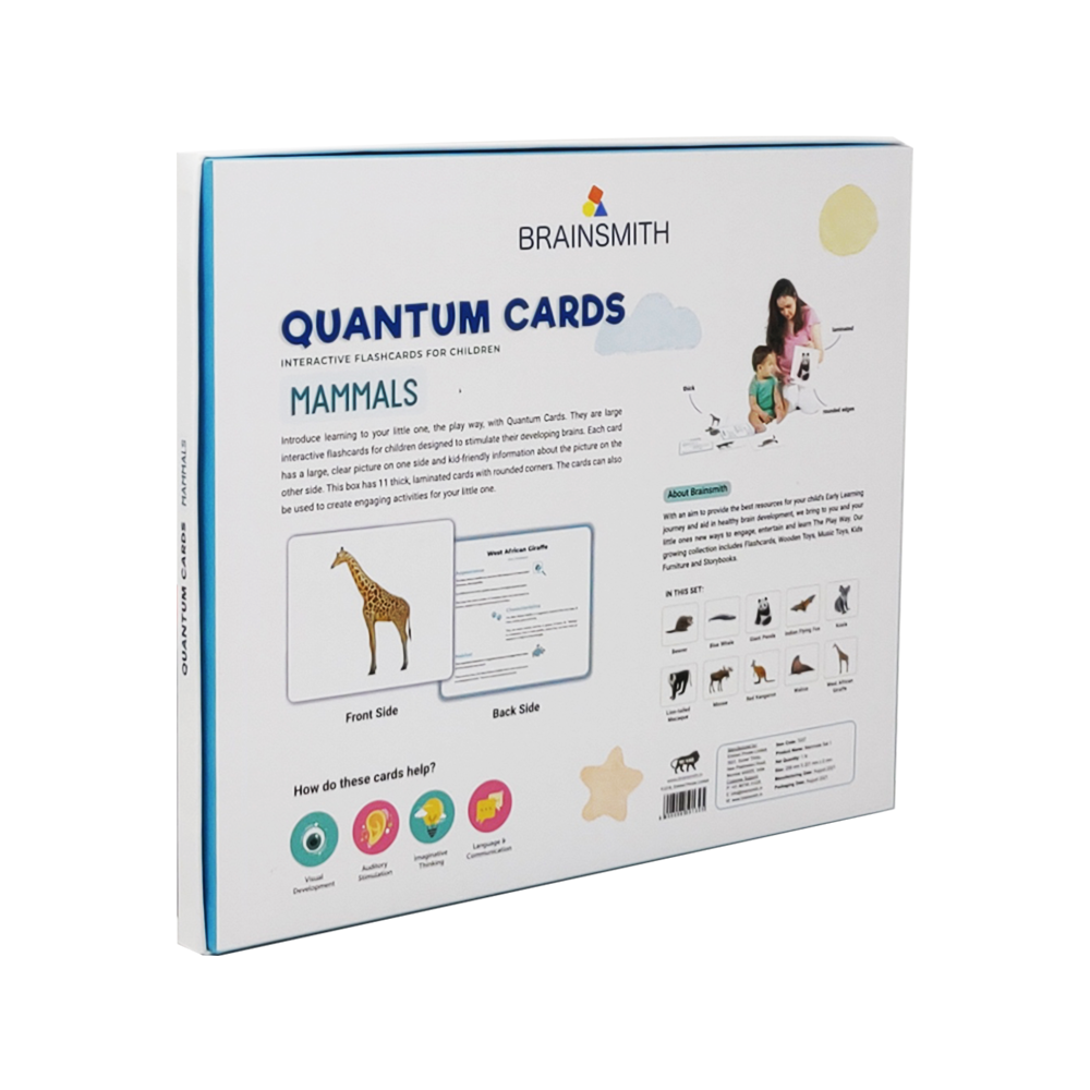 brainsmith quantum cards for kids