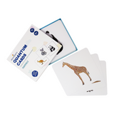 animals flashcards for kids toddlers