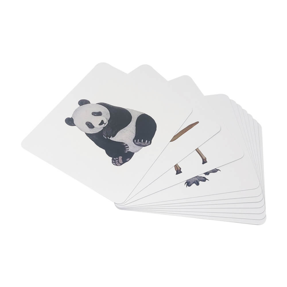 Quantum Cards Kit Set 2