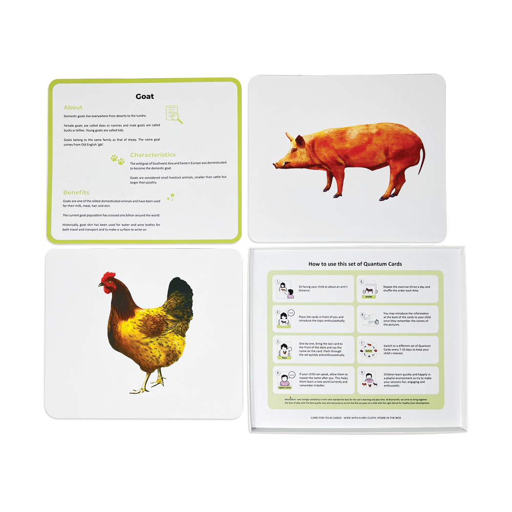 big size flashcards for right brain development