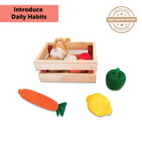 wooden vegetables toy