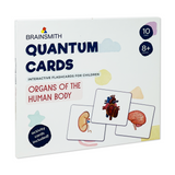 body organs flashcards for kids